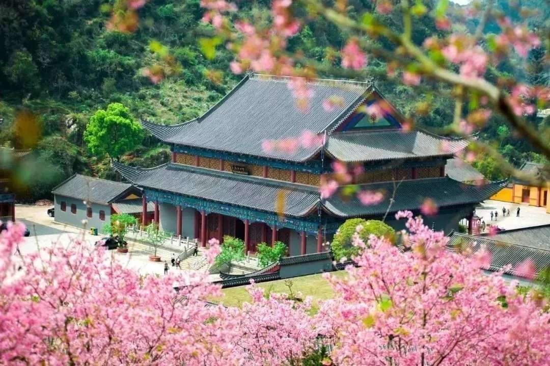 “寺”曾相識，禪音共鳴--公信網(wǎng)絡(luò)廣播解決方案